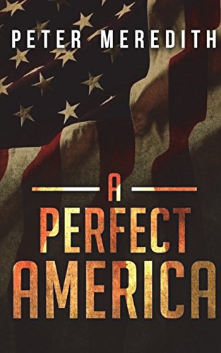 9780990522225: A Perfect America