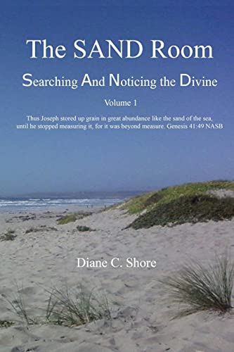 Stock image for The SAND Room Vol. 1: Searching And Noticing the Divine for sale by Lucky's Textbooks