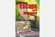 Imagen de archivo de Escape de la Mecedora a la venta por Bookmonger.Ltd