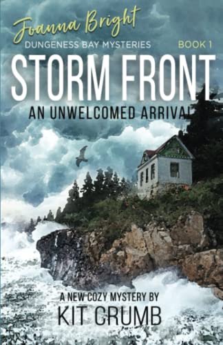 Imagen de archivo de Storm Front a la venta por PBShop.store US