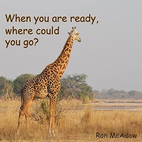 9780990608479: When you are ready, where could you go?