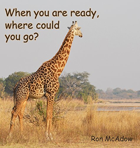 Stock image for When You Are Ready, Where Could You Go? for sale by THE SAINT BOOKSTORE