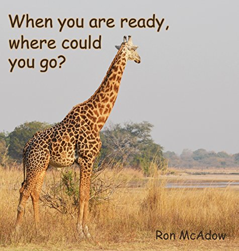 Stock image for When you are ready, where could you go? for sale by Lucky's Textbooks