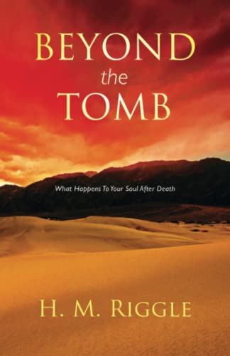 Stock image for Beyond the Tomb: What Happens to Your Soul After Death (Faith Series) for sale by SecondSale