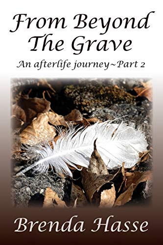 Beispielbild fr From Beyond The Grave : An afterlife journey ~ Part 2 zum Verkauf von Buchpark