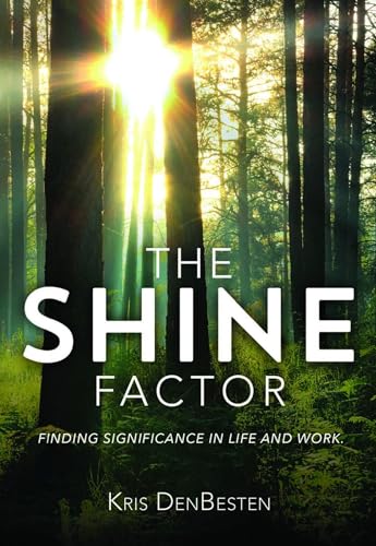 Stock image for The Shine Factor for sale by SecondSale