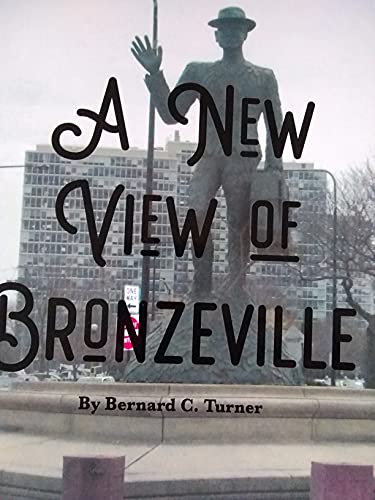 Stock image for A New View of Bronzeville for sale by ThriftBooks-Atlanta