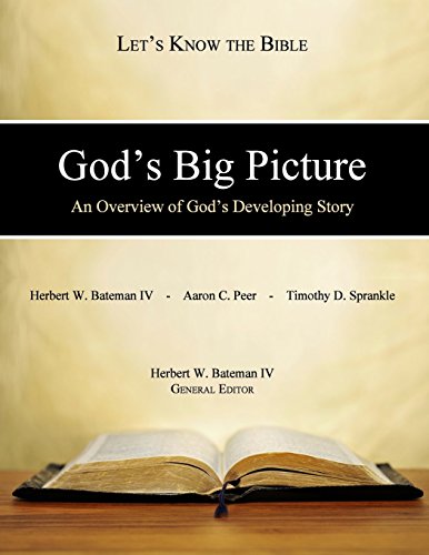Beispielbild fr God's Big Picture: An Overview of God's Developing Story zum Verkauf von Lucky's Textbooks