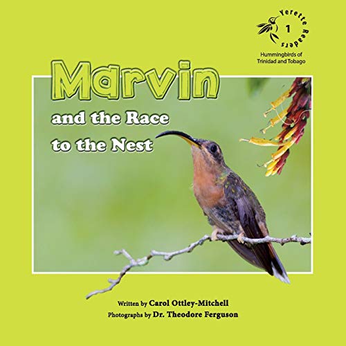 Stock image for Marvin and the Race to the Nest for sale by Lucky's Textbooks
