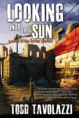 Stock image for Looking into the Sun: A Novel of the Syrian Conflict for sale by SecondSale