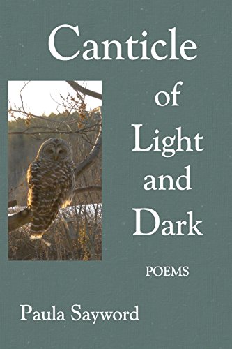 Stock image for Canticle of Light and Dark for sale by Lucky's Textbooks