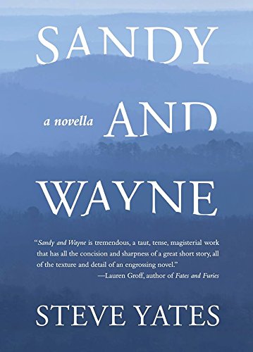 Stock image for Sandy and Wayne for sale by ABC Books