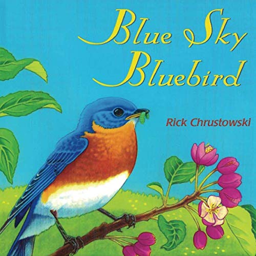 Imagen de archivo de Blue Sky Bluebird a la venta por Wonder Book