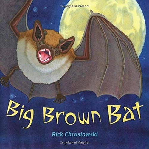Imagen de archivo de Big Brown Bat a la venta por SecondSale