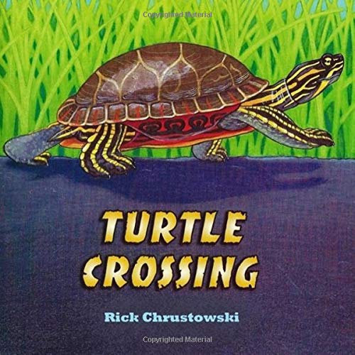 Imagen de archivo de Turtle Crossing a la venta por SecondSale