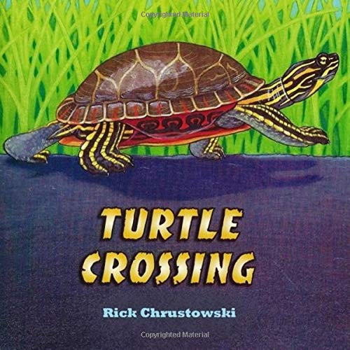 Stock image for Turtle Crossing for sale by Goodwill