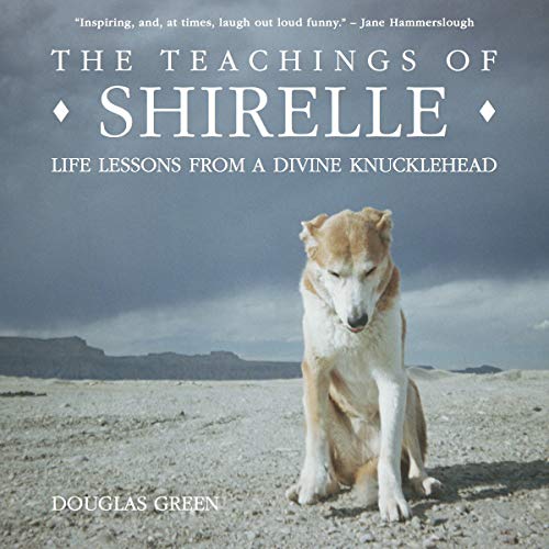 Beispielbild fr The Teachings of Shirelle: Life Lessons from a Divine Knucklehead zum Verkauf von Better World Books