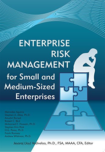 Imagen de archivo de Enterprise Risk Management for Small and Medium-Sized Enterprises a la venta por HPB-Red