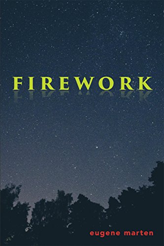 Stock image for Firework Format: Paperback for sale by INDOO