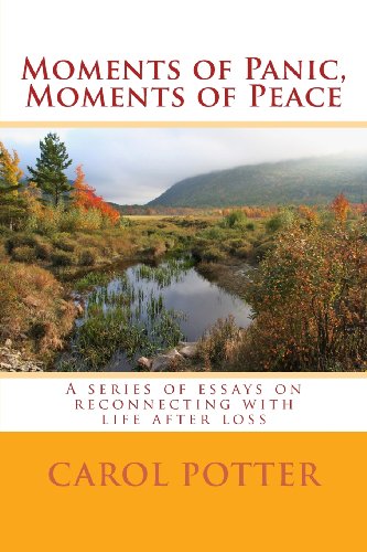 Imagen de archivo de Moments of Panic, Moments of Peace: A series of essays on reconnecting with life after loss a la venta por SatelliteBooks