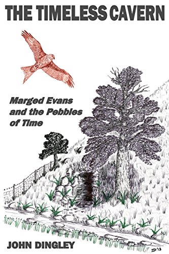 Imagen de archivo de The Timeless Cavern: Marged Evans and the Pebbles of Time a la venta por HPB-Red