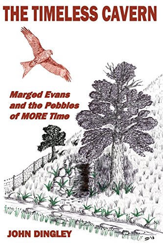 Imagen de archivo de The Timeless Cavern: Marged Evans and the Pebbles of MORE Time a la venta por Goodwill