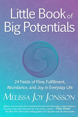 Imagen de archivo de Little Book of Big Potentials: 24 Fields of Flow, Fulfillment, Abundance, and Joy in Everyday Life a la venta por SecondSale