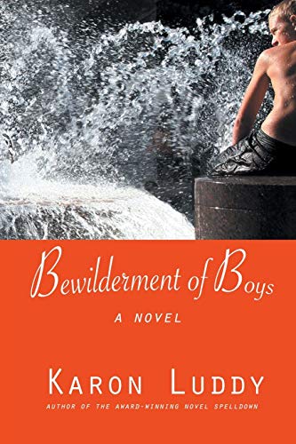 Stock image for Bewilderment of Boys for sale by Better World Books