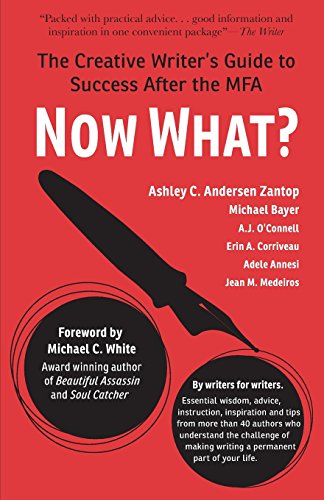 Imagen de archivo de Now What?: The Creative Writer's Guide to Success After the MFA a la venta por BooksRun