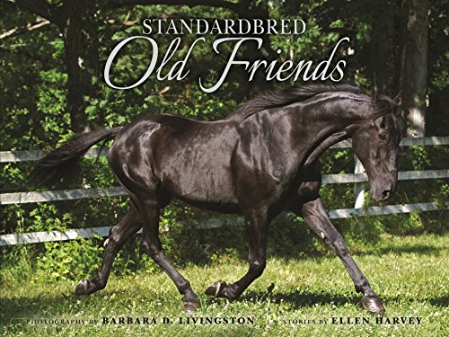 Stock image for Standardbred Old Friends for sale by ThriftBooks-Dallas
