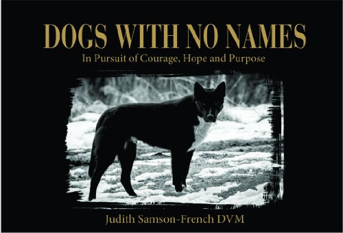 Stock image for Dogs with No Names : In Pursuit of Courage, Hope and Purpose for sale by Better World Books: West