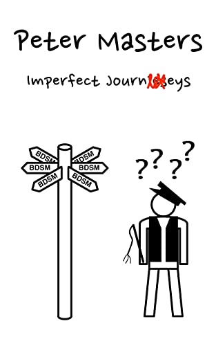 Imagen de archivo de Imperfect Journeys a la venta por Lucky's Textbooks