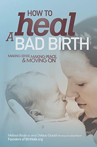Beispielbild fr How to Heal a Bad Birth: Making sense, making peace and moving on zum Verkauf von BooksRun