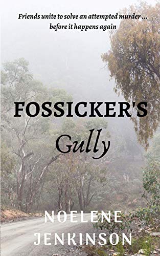 Stock image for Fossicker's Gully for sale by Lucky's Textbooks