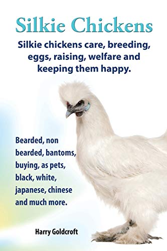 Beispielbild fr Silkie Chickens. Silkie Chickens Care, Breeding, Eggs, Raising, Welfare and Keeping Them Happy, Bearded, Non Bearded, Bantoms, Buying, as Pets, Blac zum Verkauf von GF Books, Inc.