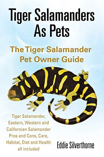 Beispielbild fr Tiger Salamanders As Pets zum Verkauf von ThriftBooks-Dallas