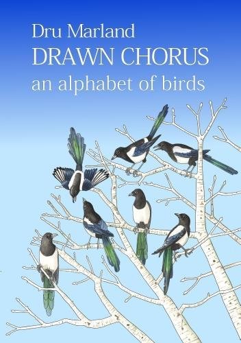 Beispielbild fr Drawn Chorus: an alphabet of birds zum Verkauf von WorldofBooks