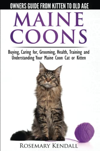 Stock image for Maine Coon Cats - The Owners Guide from Kitten to Old Age - Buying, Caring for, Grooming, Health, Training, and Understanding Your Maine Coon Paperback August 15, 2014 for sale by Goodwill Books