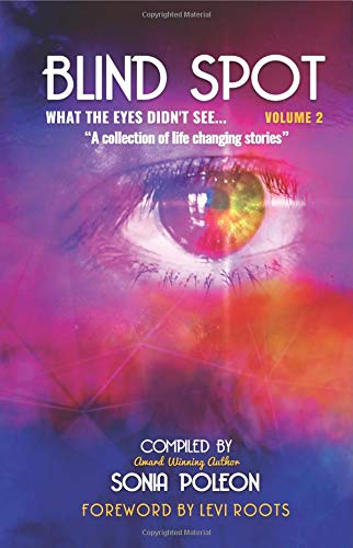 Stock image for Blind Spot Volume 2: What the eyes didn't see for sale by GF Books, Inc.