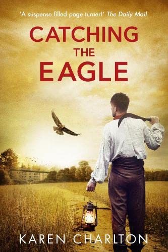Imagen de archivo de Catching the Eagle a la venta por WorldofBooks