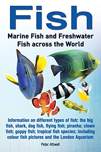 Beispielbild fr Fish: Marine Fish and Freshwater Fish Across the World: Information on Different Types of Fish: The Big Fish, Shark, Dog Fis zum Verkauf von SecondSale