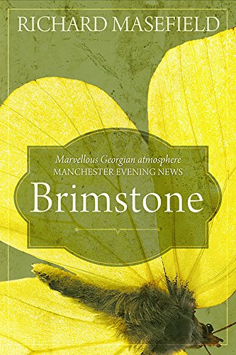 Beispielbild fr Brimstone: 18th century drama sweeping across the flintstone villages of Sussex to the coast of revolutionary France zum Verkauf von WorldofBooks
