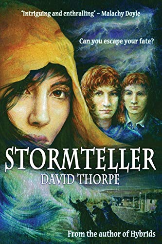 Stock image for Stormteller for sale by WorldofBooks