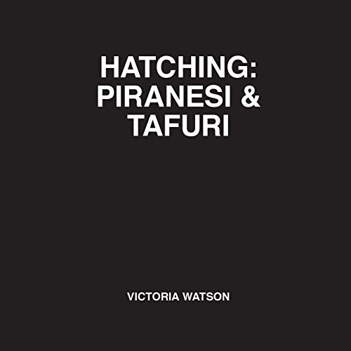 Stock image for Hatching: Piranesi & Tafuri for sale by GF Books, Inc.