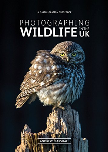 9780992905125: Photographing Wildlife in the UK - where and how to take great wildlife photographs