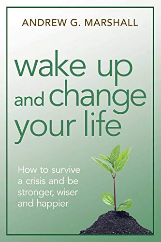 Imagen de archivo de Wake up and Change Your Life : How to Survive a Crisis and Be Stronger, Wiser, and Happier a la venta por Better World Books: West