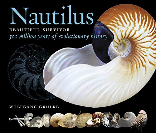 Imagen de archivo de Nautilus - Beautiful Survivor: 500 Million Years of Evolutionary History (The Deep Time Trilogy) a la venta por Antiquariat Mander Quell