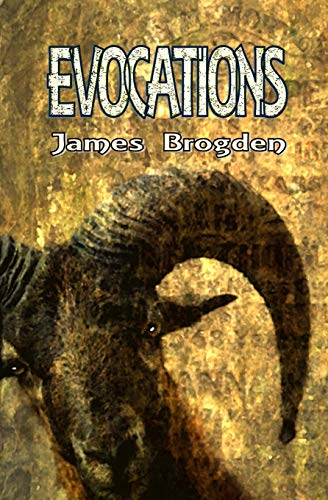 Stock image for Evocations for sale by WorldofBooks