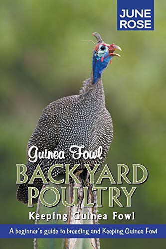 Stock image for Guinea Fowl, Backyard Poultry: Keeping Guinea Fowl for sale by GF Books, Inc.