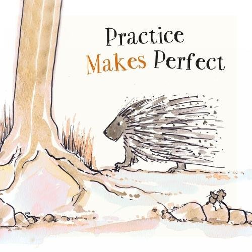 Stock image for Practice Makes Perfect: 8 (Safari Series) for sale by Reuseabook